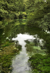 Fototapeta na wymiar Pond in Saint Naum. Macedonia
