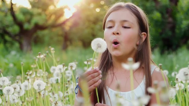 Cute girl blow on a dandelion at sunset. Rest at nature. Slow motion