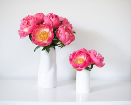 Hot pink peonies 