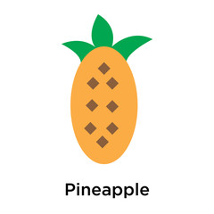 Pineapple icon vector sign and symbol isolated on white background