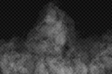 Vector realistic isolated smoke effect for decoration and covering on the transparent background.