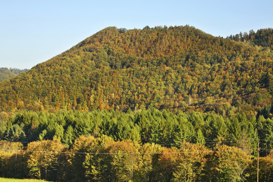 Landscape near Terka village. Subcarpathian voivodeship. Poland