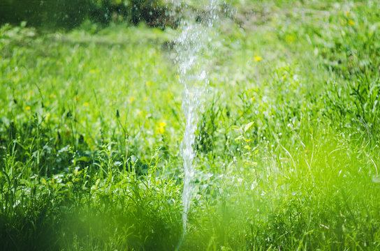 A jet of water pours a green grassy lawn.