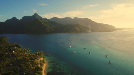 Aerial view of tropical paradise shore of Moorea island, lush jungle, scenic hills and mountains around Opunohu Bay at sunset - South Pacific Ocean, French Polynesia landscape from above, 4k