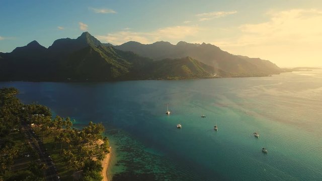 Aerial view of tropical paradise shore of Moorea island, lush jungle, scenic hills and mountains around Opunohu Bay at sunset - South Pacific Ocean, French Polynesia landscape from above, 4k