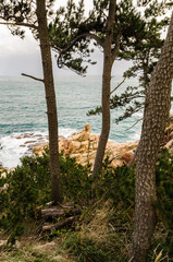 Yellow rocks rising from the depths of the blue-green sea