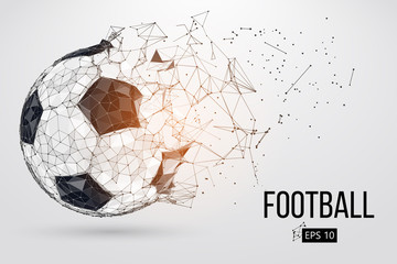 silhouette of a football ball. Vector illustration