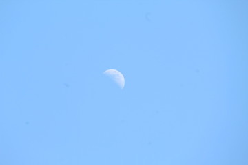 Mid Day Moon