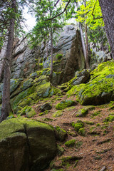 healthy way of life.walk in the mountains.Old stones.