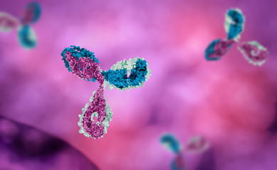 antibody medical  science microbiology  - obrazy, fototapety, plakaty