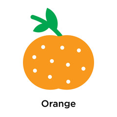 Orange icon vector sign and symbol isolated on white background