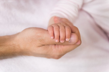 Baby hand hold male finger. Tiny hand. Fathers day concept. It is so tiny. Family love and trust. Childhood and carefree concept. Support of parents. unity and protection