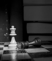 Scacchi fotografati su una scacchiera