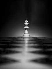 Scacchi fotografati su una scacchiera