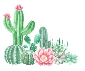 Foto op Canvas Watercolor Cactus and Succulents © aves