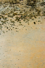 Painted concrete background