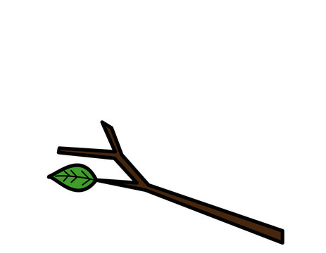 枝(色)