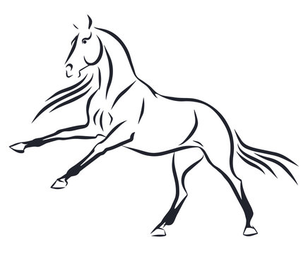 A sketch of a raging horse