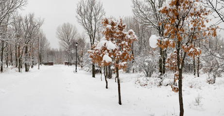 El invierno ha llegado