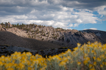 Mono Lake