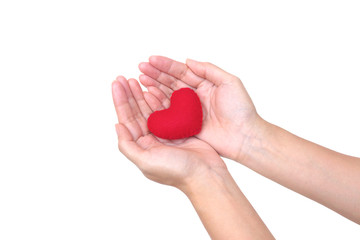 Female hand holding a red heart isolated on white background