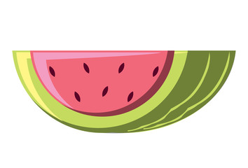 watermelon icon over white background, vector illustration