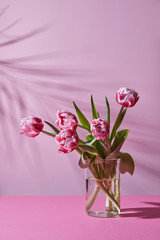 Glass vase with a bouquet of pink tulips on a pink background