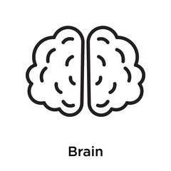 Brain icon vector sign and symbol isolated on white background
