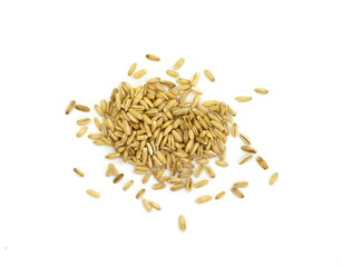 Rye grains isolated on white background