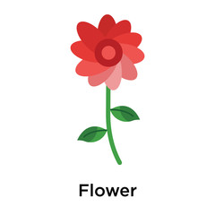 Flower icon vector sign and symbol isolated on white background