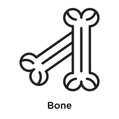 Bone icon vector sign and symbol isolated on white background