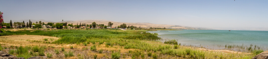 The Coast of the Sea of Galilee, Israel