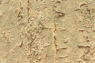 Old flaky paint peeling off on old wall, cracks and scrapes on the surface