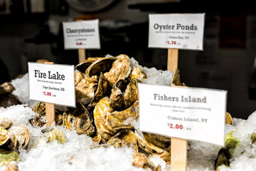 Closeup of market food lobster seafood shop, store with retail display, ice, fresh kumamoto oysters