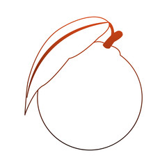 Orange citric fruit vector illustration graphic design