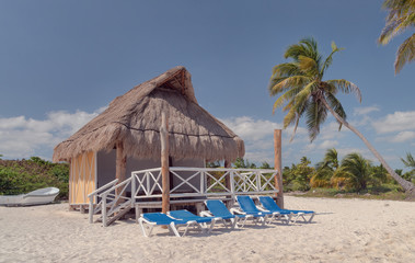 Thatched Roof Shack on a Beach