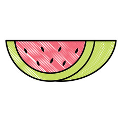 watermelon icon over white background, vector illustration