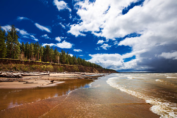 Coast of the Ob river. Novosibirsk region, Siberia, Russia
