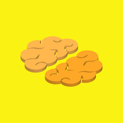 Brain icon isolated on white background