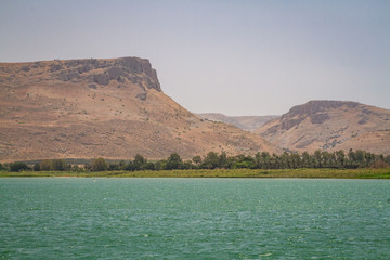 The Coast of the Sea of Galilee, Israel