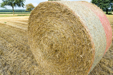 Golden grain field with straw bales