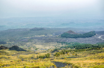 wild vegetation flourishing on slope of mount etna in Sicily, Italy