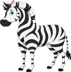 Plakat Cute zebra cartoon isolated on white background