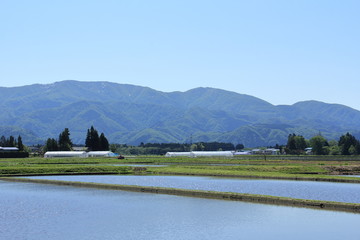 田舎の風景　水田　青空　春