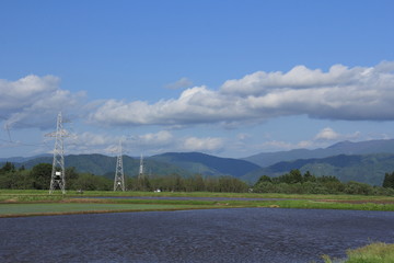 田んぼの中にある鉄塔　青空　水田　田舎の風景
