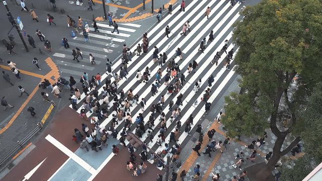 HD Slow Motion Sequence of Tokyo, Japan - Slow motion video filmed in an intersection in Tokyo