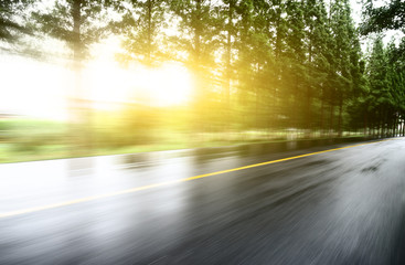 asphalt road with tree lawns under sunshine