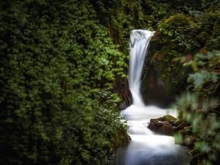 Fototapeta na wymiar Cascata con acque bianche effetto seta nella roccia ricoperta di vegetazione lussureggiante