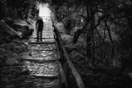 Fototapeta Mulattiera nel bosco con anziano che cammina in bianco e nero