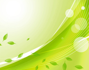 エコ背景　若葉　クローバー　エコロジー　自然環境　えこ